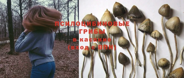 прущие грибы Алексеевка