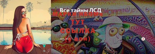 спайс Инта