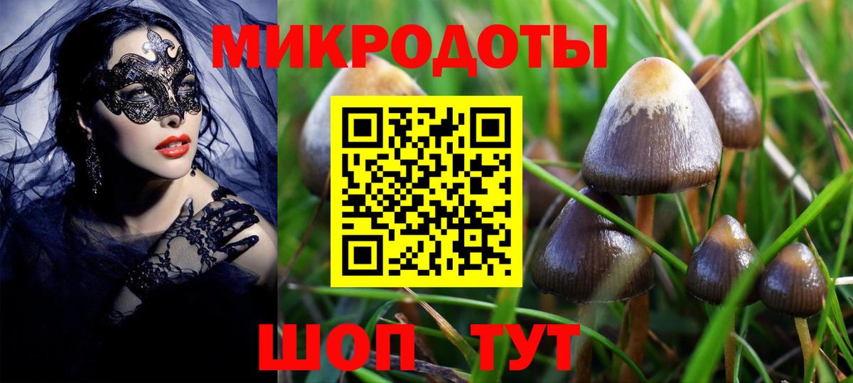 Галлюциногенные грибы мицелий  дарнет шоп  Котельники  Вход с VPN  Псилоцибиновые грибы Psilocybine cubensis 
