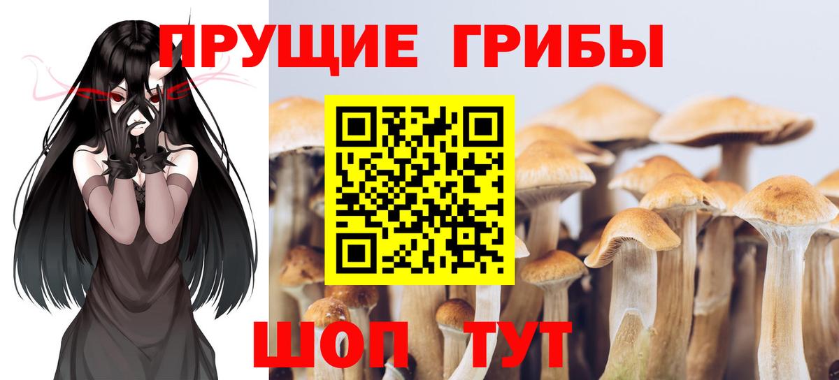 Галлюциногенные грибы GOLDEN TEACHER Котельники